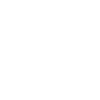 ico_tiktok